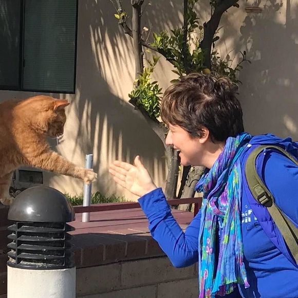 Meet your Posher, Gulhis - Picture 1 of 1